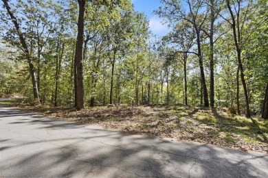 Lake Lot For Sale in Townville, South Carolina