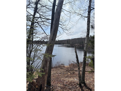 Joyce Lake Lot For Sale in Land O Lakes Wisconsin