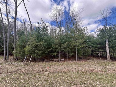 Great Opportunity!! This 1 acre wooded home site includes a boat - photo 2