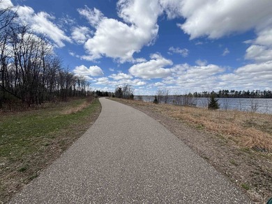 Great Opportunity!! This 1 acre wooded home site includes a boat - photo 4