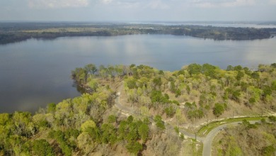 Build Your Dream Home in Legacy Shores on Lake Palestine - photo 18