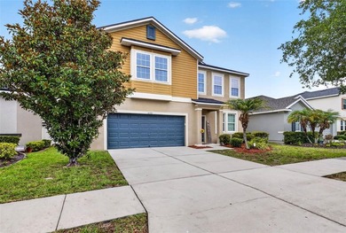 Ideally situated in one of Gibsonton's most convenient locations - photo 2