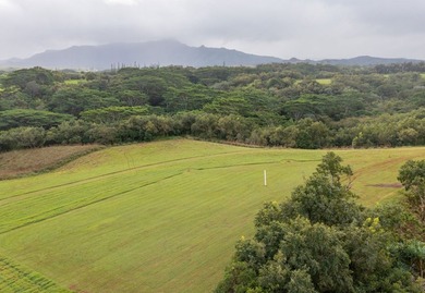 Oceanside Ranch 54 is a spectacular 4-acre property within the - photo 4