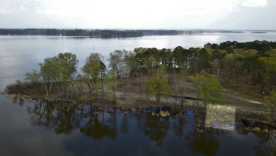 Build Your Dream Home in Legacy Shores on Lake Palestine - photo 19