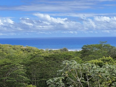 Oceanside Ranch 54 is a spectacular 4-acre property within the - photo 6