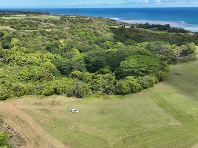 Oceanside Ranch 54 is a spectacular 4-acre property within the - photo 8