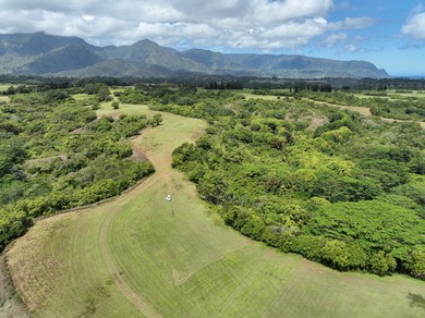 Oceanside Ranch 54 is a spectacular 4-acre property within the - photo 9
