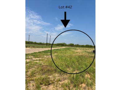 Lake Lot For Sale in Justiceburg, Texas