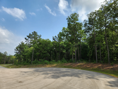 Build Your Dream Home in Legacy Shores on Lake Palestine - photo 1
