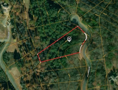 1.75 Acres Near Douglas Lake SOLD - photo 24