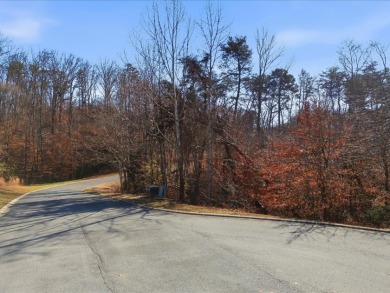 1.75 Acres Near Douglas Lake SOLD - photo 2