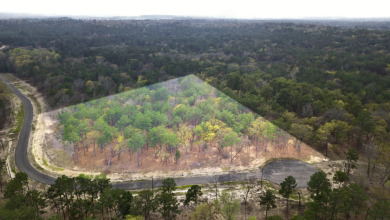 Build Your Dream Home in Legacy Shores on Lake Palestine - photo 12