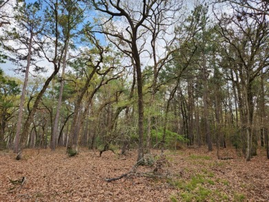 Build Your Dream Home in Legacy Shores on Lake Palestine - photo 7