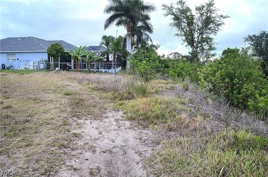 Exceptional freshwater canal lot located on the Carousel Canal - photo 3