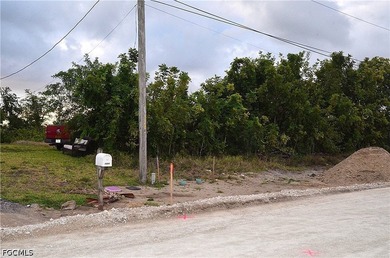 Exceptional freshwater canal lot located on the Carousel Canal - photo 5