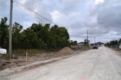 Exceptional freshwater canal lot located on the Carousel Canal - photo 8