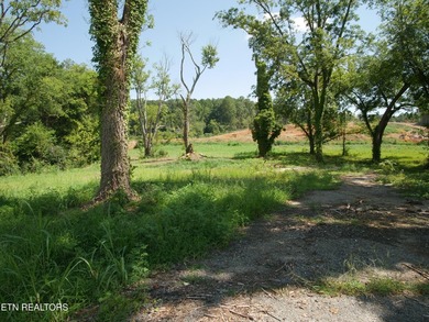 1735 Hwy 411 - photo 13