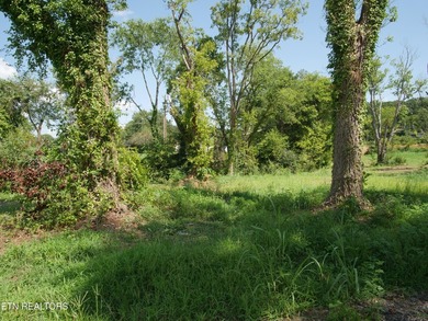 1735 Hwy 411 - photo 14