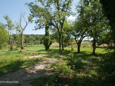 1735 Hwy 411 - photo 15