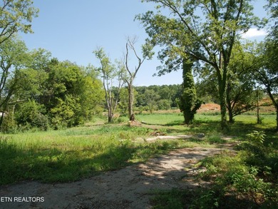 1735 Hwy 411 - photo 16