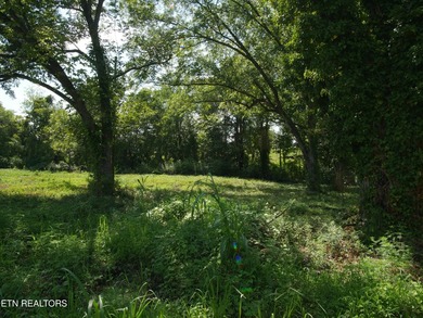1735 Hwy 411 - photo 20