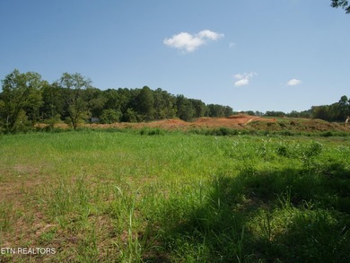 1735 Hwy 411 - photo 22