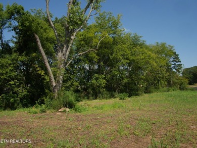 1735 Hwy 411 - photo 23