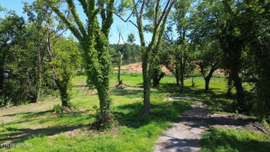 1735 Hwy 411 - photo 25