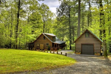 Lake Home For Sale in Suches, Georgia