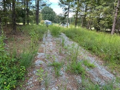 Lakefront property, build your dream home or a weekend getaway - photo 2