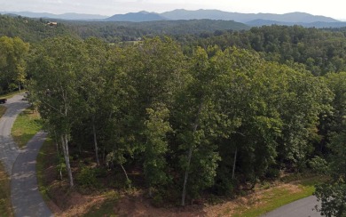 Hiwassee River - Cherokee County Lot For Sale in Murphy North Carolina