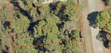 Lehigh Acres Area Lot Sale Pending in Lehigh Acres Florida