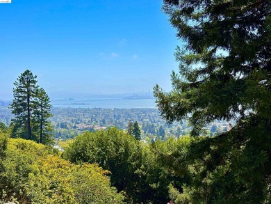 The Ultimate Luxury Canvas: Panoramic Bay Views & Timeless - photo 35