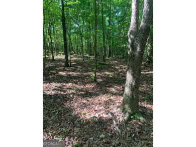 (private lake, pond, creek) Acreage For Sale in Alto Georgia