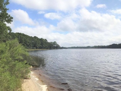Beautiful waterfront acreage on North Bay and Fanning Bayou - photo 5