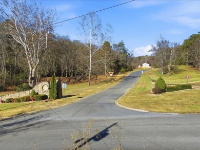 1.75 Acres Near Douglas Lake SOLD - photo 7