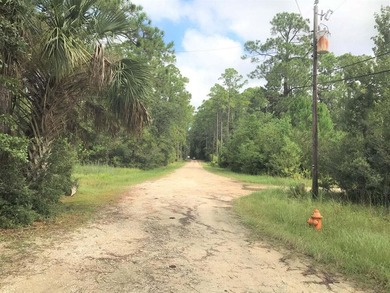 Beautiful waterfront acreage on North Bay and Fanning Bayou - photo 10