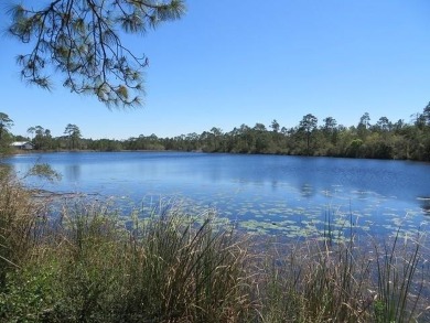 McKissack Pond Lot For Sale in Carabelle Florida