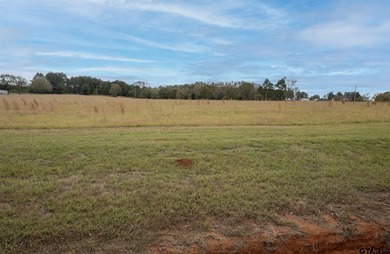 Stone Ridge offers picturesque county living with only 10 total - photo 7