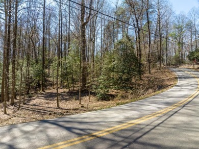 Lake Lot For Sale in Ellijay, Georgia