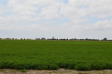 This exceptional 295 acre irrigated farm and feedlot spans two - photo 12