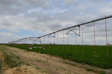 This exceptional 295 acre irrigated farm and feedlot spans two - photo 14