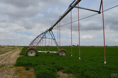 This exceptional 295 acre irrigated farm and feedlot spans two - photo 15