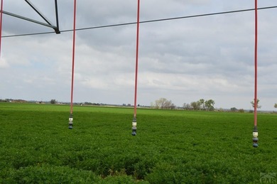 This exceptional 295 acre irrigated farm and feedlot spans two - photo 16