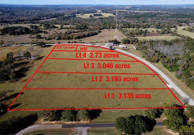 Stone Ridge offers picturesque county living with only 10 total - photo 2