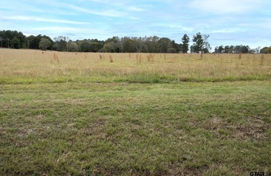 Stone Ridge offers picturesque county living with only 10 total - photo 6