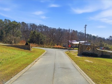 1.75 Acres Near Douglas Lake SOLD - photo 9