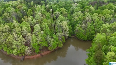 Lake Lot For Sale in Woodland, Alabama