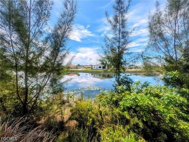 NW Cape Coral freshwater vacant lot with a SE Rear Exposure. The - photo 4