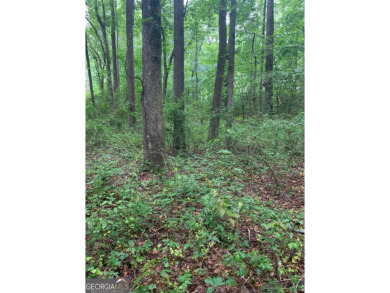 (private lake, pond, creek) Acreage For Sale in Alto Georgia